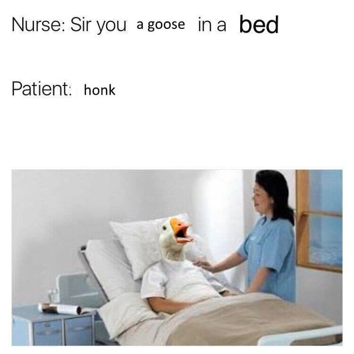 Birds-With-Threatening-Auras