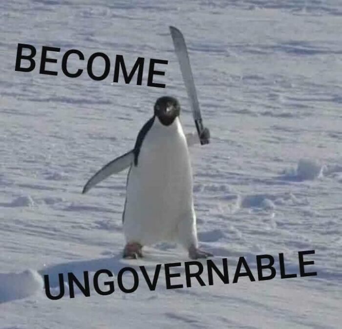 Birds-With-Threatening-Auras