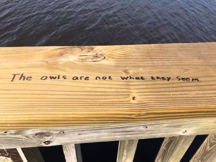 Birds-With-Threatening-Auras