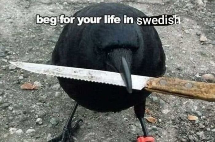 Birds-With-Threatening-Auras