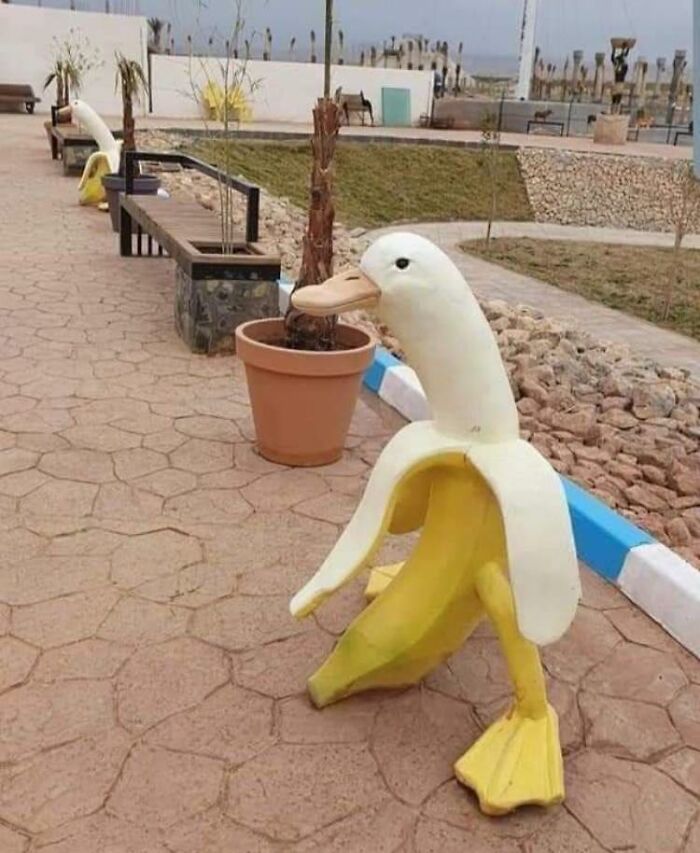 Birds-With-Threatening-Auras