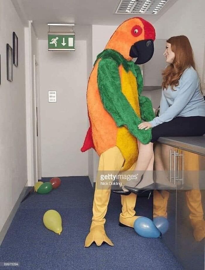 Birds-With-Threatening-Auras