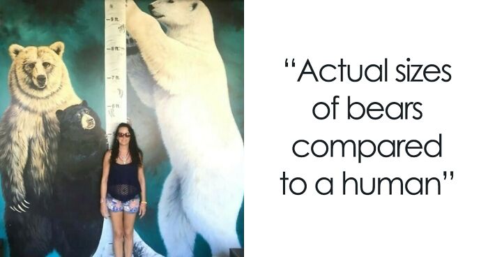 This Instagram Account Shares Fascinating Fun Facts You Probably Didn’t Learn In School, Here Are 50 Of Their Best Posts