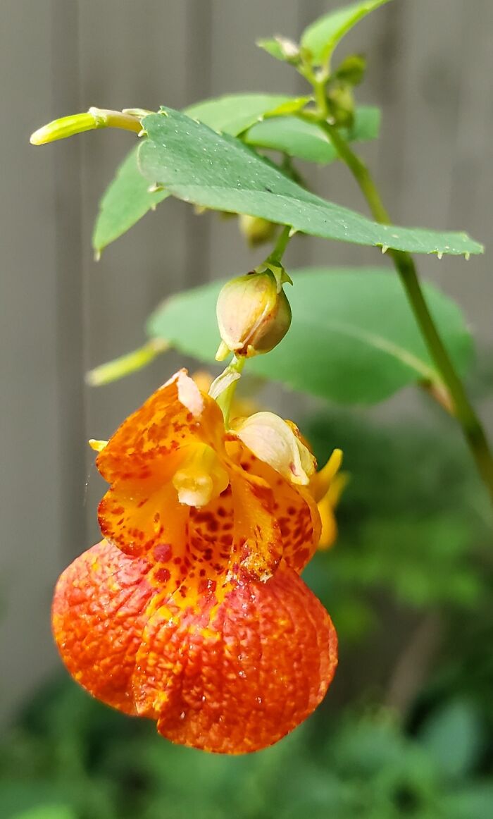 Just Popped Up One Day