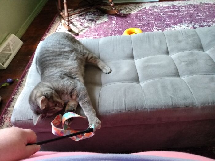 Bouche, In The Only Nature She Accepts, Attacking The Wild Wand Toy