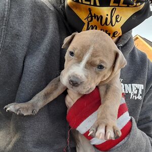 annafairburn380 avatar