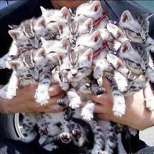 lucydraper1976 avatar