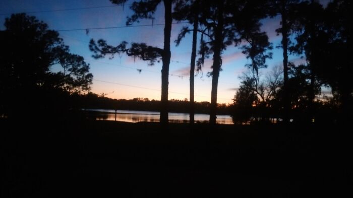 Not My Window But My Parents Window In Deland, Florida
