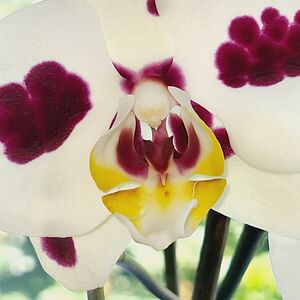 m-e-j-collins avatar