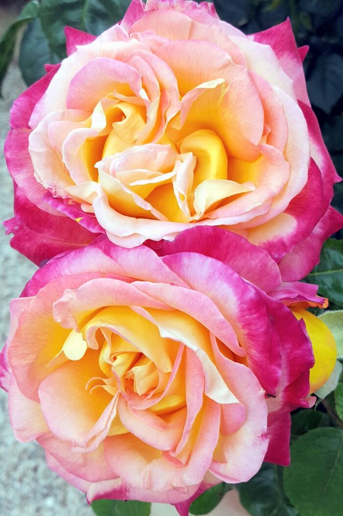 Love The Colors In These!