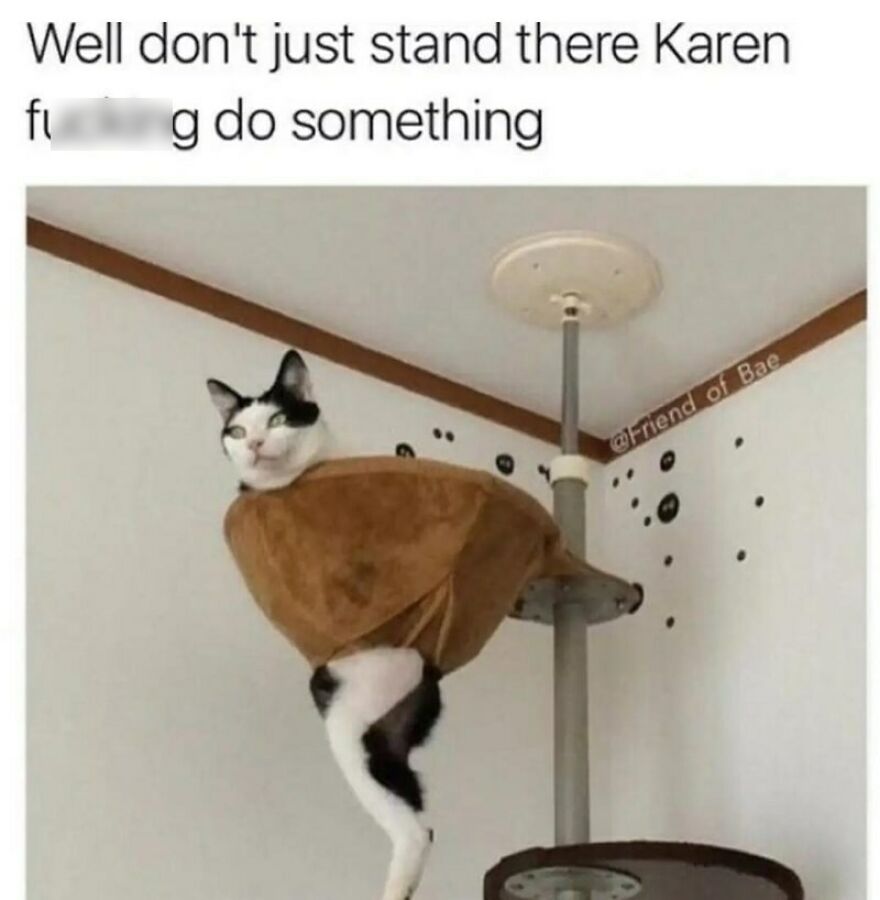 Things To Laugh At When You Are Trying To Be Serious In A Lecture Or Smthng