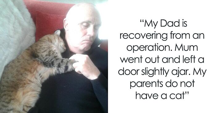 105 Relatable Cat Memes You’ll Probably Wish You Could Tag Your Cat In