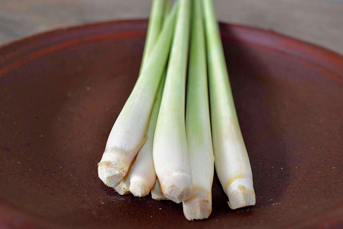 Lemongrass on big red plate