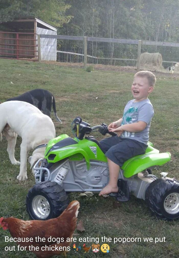 Why-My-Kid-Is-Crying-Funny-Posts