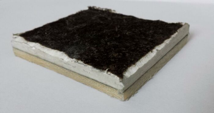 “Today I Learned”: 40 Lesser-Known Facts About The World That Should Be Common Knowledge (New Pics)