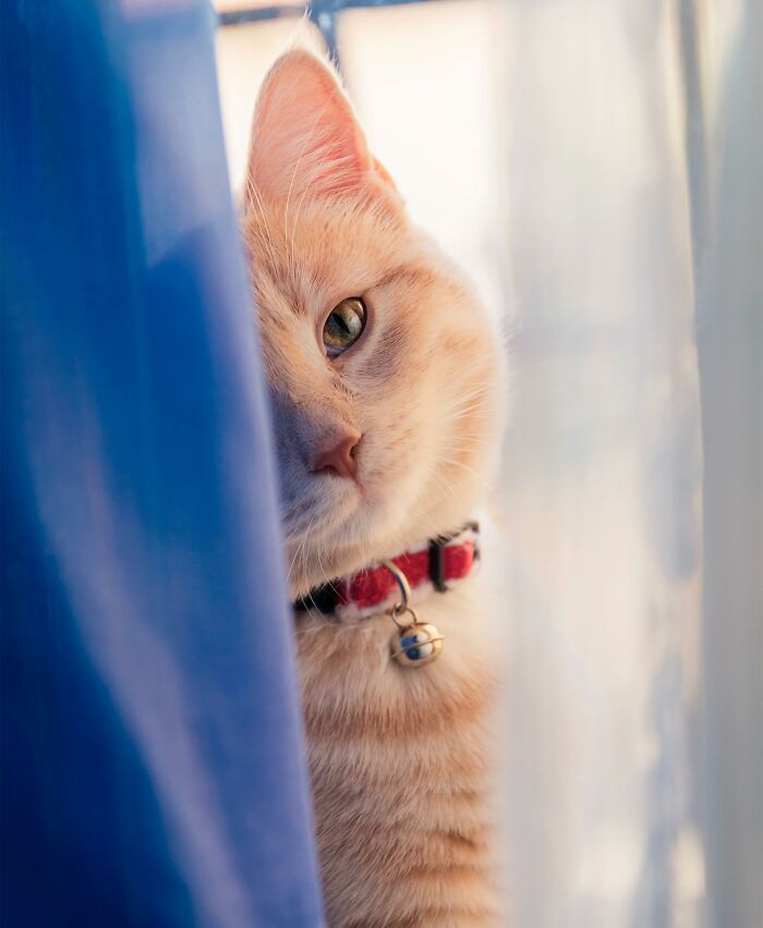 Job Interviewers Reveal Resume Moments That Either Got The Person Immediately Hired Or Immediately Rejected (30 Answers)