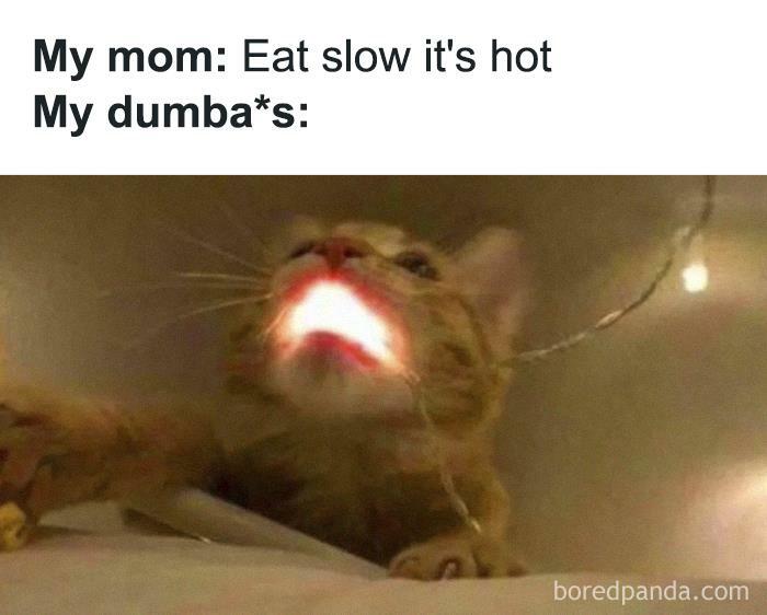 Cat humor meme with a glowing mouth, captioned about eating hot food.