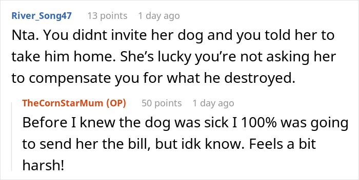 "I've Heard She Plans To Sue Me For Her Vet Bills": Guest Brings Her Dog To A Party Without Permission, Blames It On The Hostess When He Gets Seriously Sick