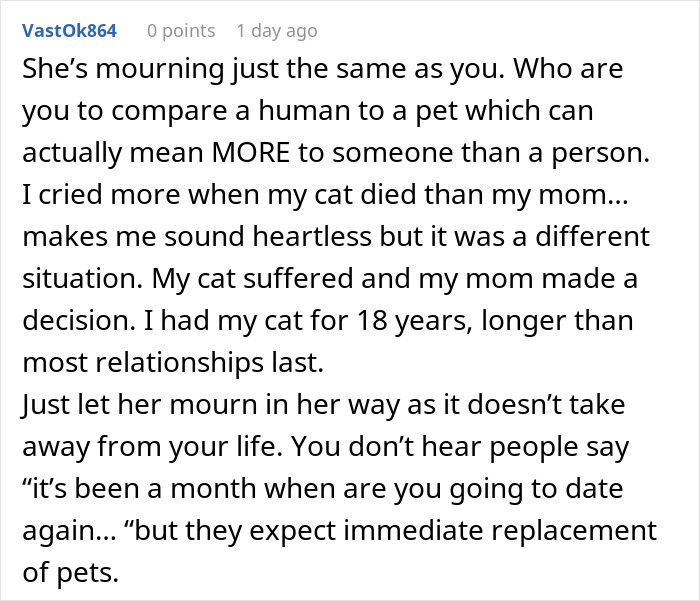 &ldquo;A Dog Is Not The Same As A Husband&rdquo;: Woman Loses Patience With Her Sister For Nonstop Comparisons Of Their Losses