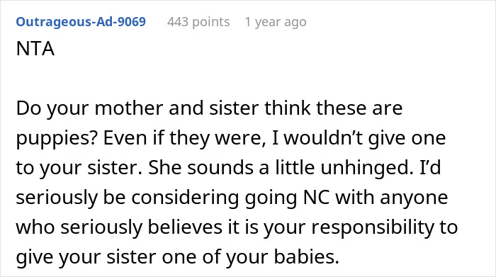 Woman Asks The Internet If She's A Jerk For Refusing To Let Her Sister Adopt One Of Her Twins Once They're Born Woman Asks The Internet If She's A Jerk For Refusing To Let Her Sister Adopt One Of Her Twins Once They're Born