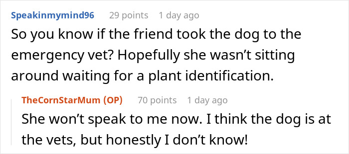 "I've Heard She Plans To Sue Me For Her Vet Bills": Guest Brings Her Dog To A Party Without Permission, Blames It On The Hostess When He Gets Seriously Sick