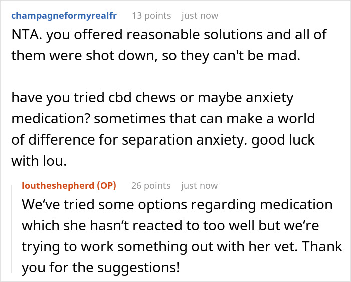 Woman Asks If It’d Be A Jerk Move To Miss Her Brother’s 40th Birthday Because They Banned Her “Aggressive” German Shepherd From Their House Woman Asks If It’d Be A Jerk Move To Miss Her Brother’s 40th Birthday Because They Banned Her “Aggressive” German Shepherd From Their House