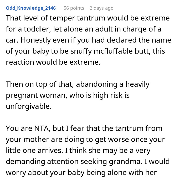 &ldquo;She Was Still Gone&rdquo;: Mom Leaves 8.5-Month High-Risk Pregnant Daughter In The Park After She Mentioned Changing The Baby&rsquo;s Name