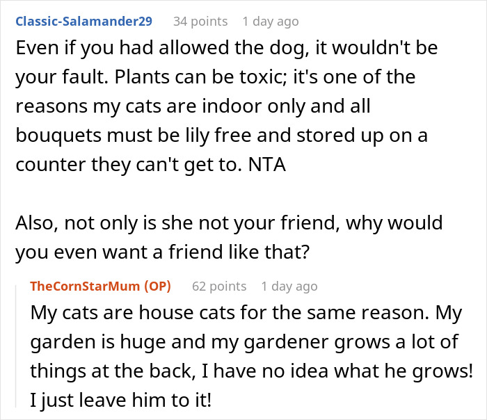 "I've Heard She Plans To Sue Me For Her Vet Bills": Guest Brings Her Dog To A Party Without Permission, Blames It On The Hostess When He Gets Seriously Sick