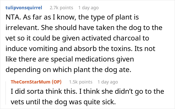 "I've Heard She Plans To Sue Me For Her Vet Bills": Guest Brings Her Dog To A Party Without Permission, Blames It On The Hostess When He Gets Seriously Sick