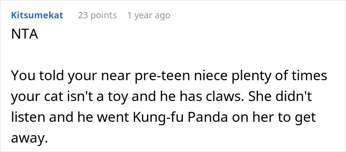 Aunt Tells 9-Year-Old She Deserves To Be Scratched For The Way She Treated Her Pet