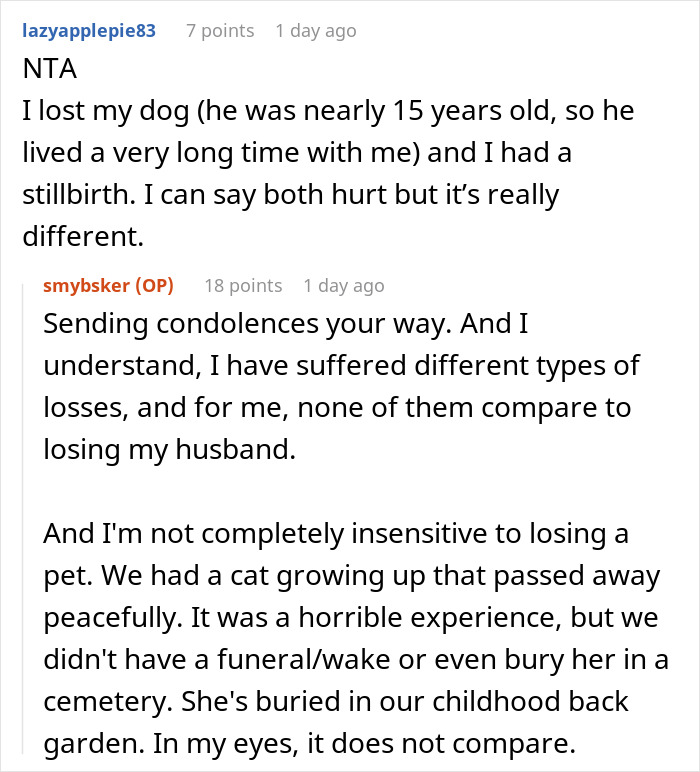 &ldquo;A Dog Is Not The Same As A Husband&rdquo;: Woman Loses Patience With Her Sister For Nonstop Comparisons Of Their Losses