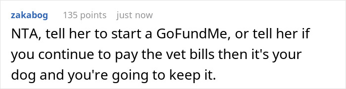 &ldquo;I Said No Thank You&rdquo;: Woman Demands Ex Pay For Her Dog's Vet Bills, Contacts His Close Ones To Make Him Change His Mind After Getting A Refusal