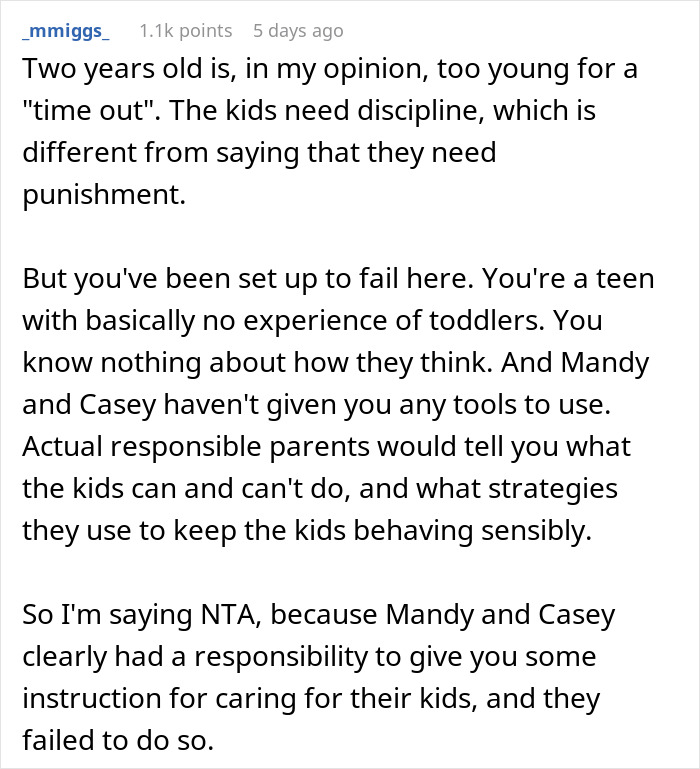 Person Gets Told Off For Disciplining SIL&rsquo;s 2 Young Kids, Allows Them To Wreak Absolute Hell At Home Next Time They Babysit