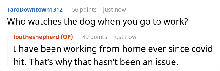 Woman Asks If It’d Be A Jerk Move To Miss Her Brother’s 40th Birthday Because They Banned Her “Aggressive” German Shepherd From Their House Woman Asks If It’d Be A Jerk Move To Miss Her Brother’s 40th Birthday Because They Banned Her “Aggressive” German Shepherd From Their House
