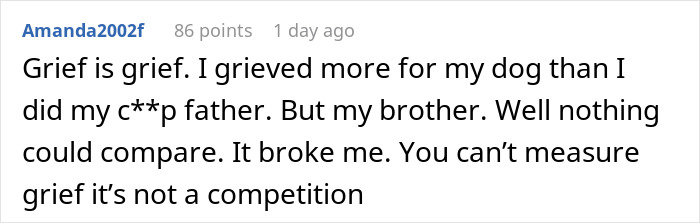 &ldquo;A Dog Is Not The Same As A Husband&rdquo;: Woman Loses Patience With Her Sister For Nonstop Comparisons Of Their Losses