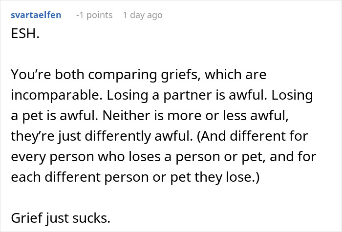 &ldquo;A Dog Is Not The Same As A Husband&rdquo;: Woman Loses Patience With Her Sister For Nonstop Comparisons Of Their Losses