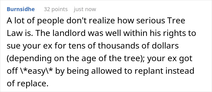After A Break-Up, Ex-Boyfriend Cut Down “Their” Tree, So This Woman Forwarded His Text Bragging About It Right To The Property Manager After A Break-Up, Ex-Boyfriend Cut Down “Their” Tree, So This Woman Forwarded His Text Bragging About It Right To The Property Manager