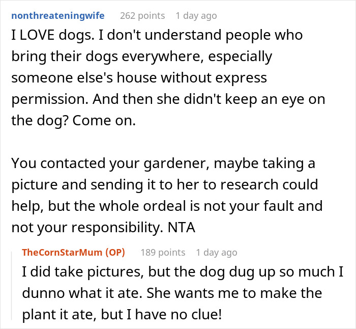 "I've Heard She Plans To Sue Me For Her Vet Bills": Guest Brings Her Dog To A Party Without Permission, Blames It On The Hostess When He Gets Seriously Sick