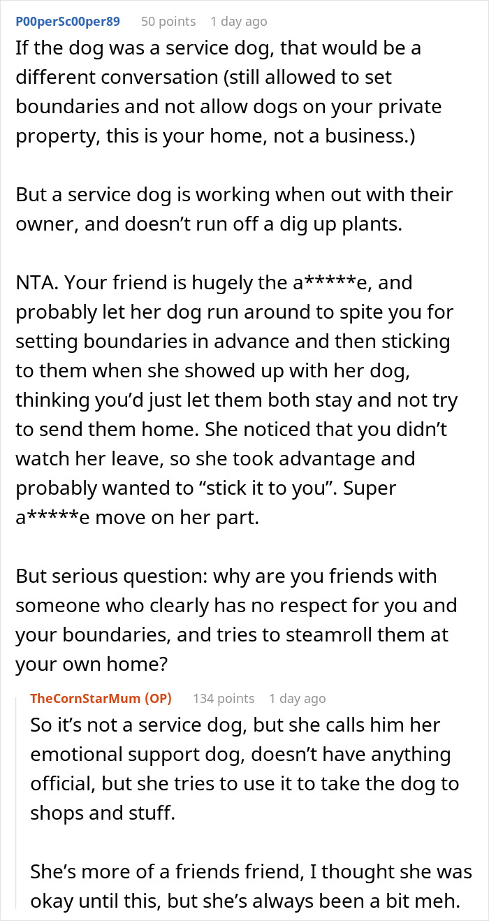 "I've Heard She Plans To Sue Me For Her Vet Bills": Guest Brings Her Dog To A Party Without Permission, Blames It On The Hostess When He Gets Seriously Sick