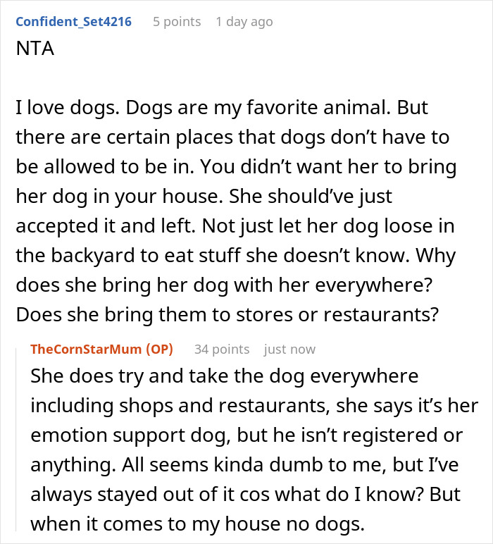 "I've Heard She Plans To Sue Me For Her Vet Bills": Guest Brings Her Dog To A Party Without Permission, Blames It On The Hostess When He Gets Seriously Sick