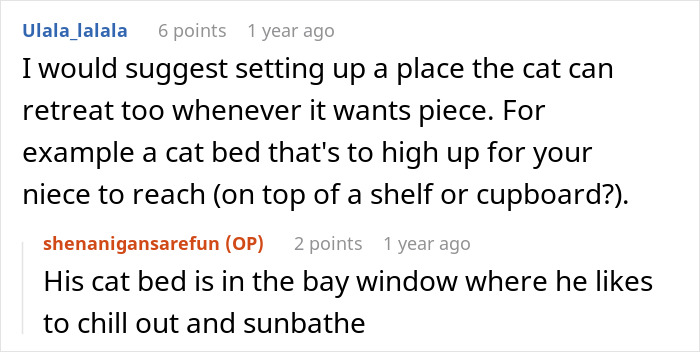 Aunt Tells 9-Year-Old She Deserves To Be Scratched For The Way She Treated Her Pet