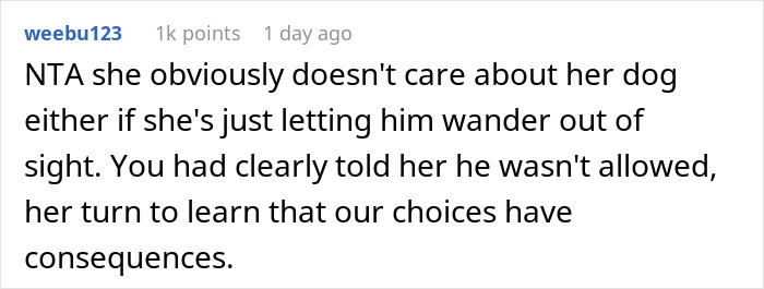 "I've Heard She Plans To Sue Me For Her Vet Bills": Guest Brings Her Dog To A Party Without Permission, Blames It On The Hostess When He Gets Seriously Sick