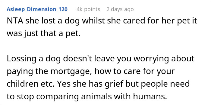 &ldquo;A Dog Is Not The Same As A Husband&rdquo;: Woman Loses Patience With Her Sister For Nonstop Comparisons Of Their Losses