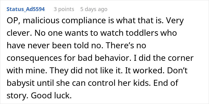 Person Gets Told Off For Disciplining SIL&rsquo;s 2 Young Kids, Allows Them To Wreak Absolute Hell At Home Next Time They Babysit