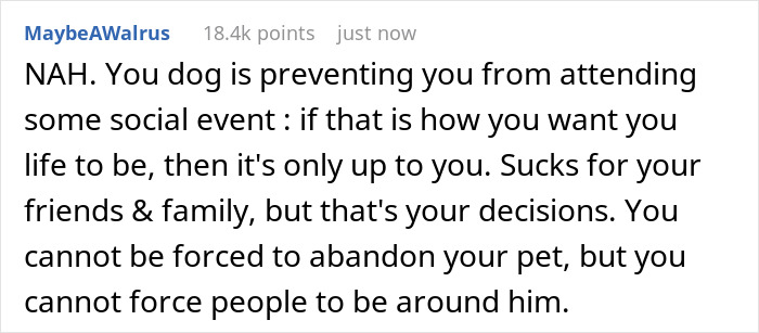 Woman Asks If It’d Be A Jerk Move To Miss Her Brother’s 40th Birthday Because They Banned Her “Aggressive” German Shepherd From Their House Woman Asks If It’d Be A Jerk Move To Miss Her Brother’s 40th Birthday Because They Banned Her “Aggressive” German Shepherd From Their House