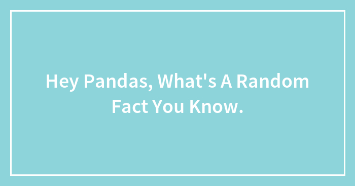 Hey Pandas, What’s A Random Fact You Know.