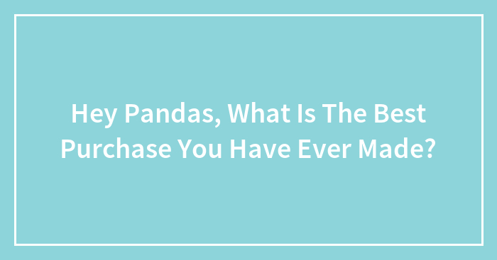 Hey Pandas, What Is The Best Purchase You Have Ever Made?
