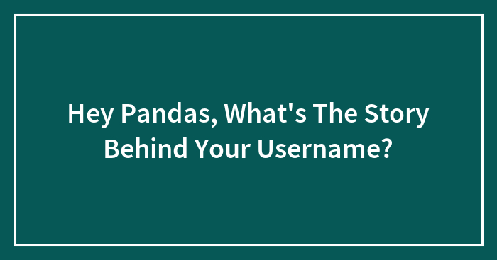 Hey Pandas, What’s The Story Behind Your Username?