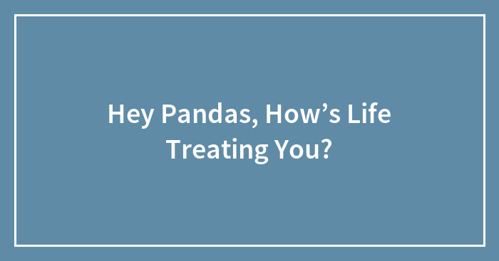 Hey Pandas, How’s Life Treating You?