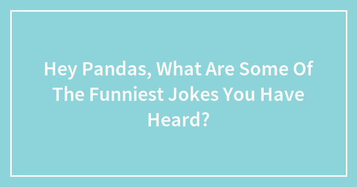 Hey Pandas, What Are Some Of The Funniest Jokes You Have Heard?